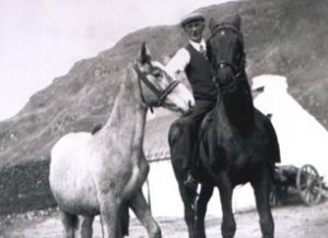 James-Meehan (snr) with a pony & foal